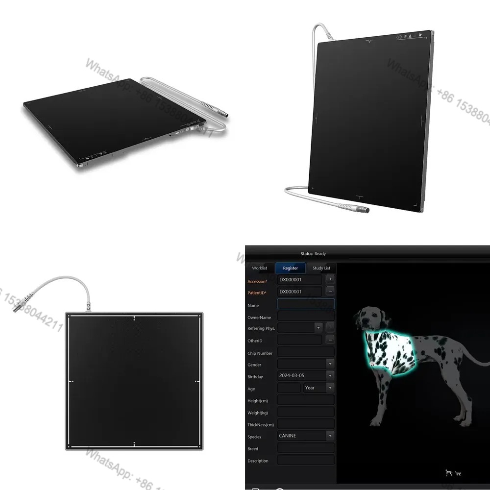 Penjualan Panas 2026 Detektor  - Xray Tech Accessories ulasan dan harga